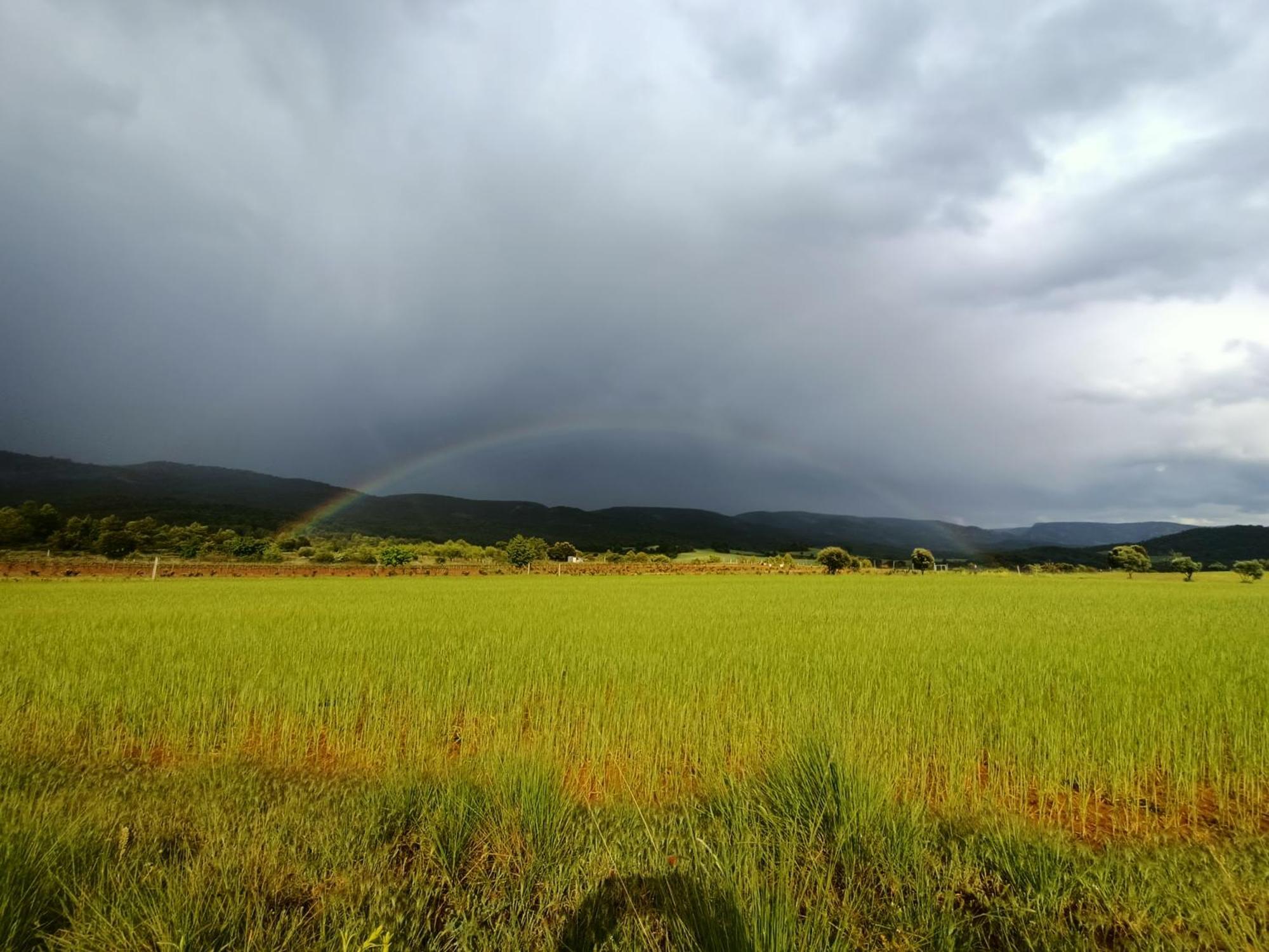 Alojamiento Rural El Cerro Fresneda de la Sierra Bagian luar foto