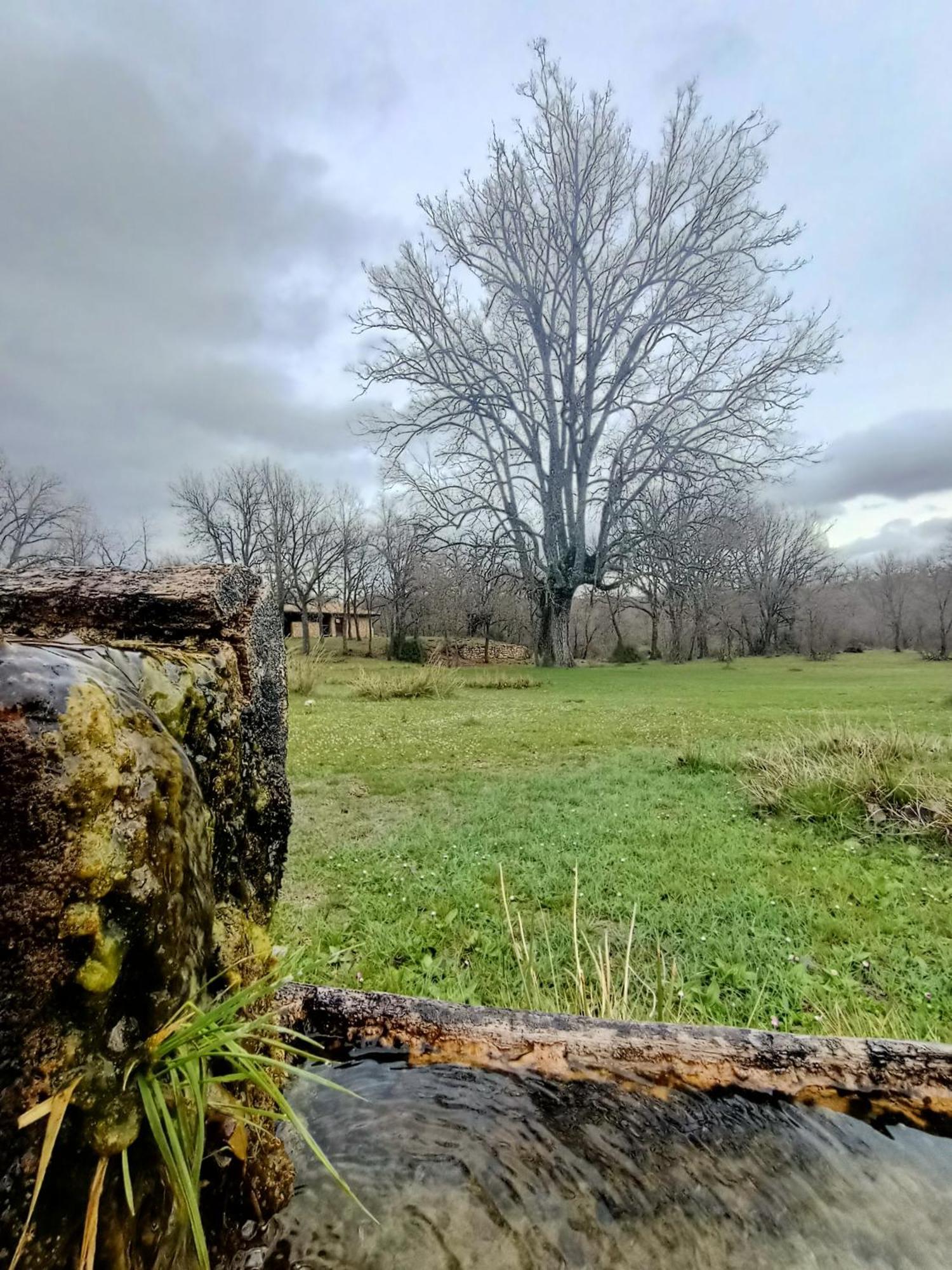 Alojamiento Rural El Cerro Fresneda de la Sierra Bagian luar foto