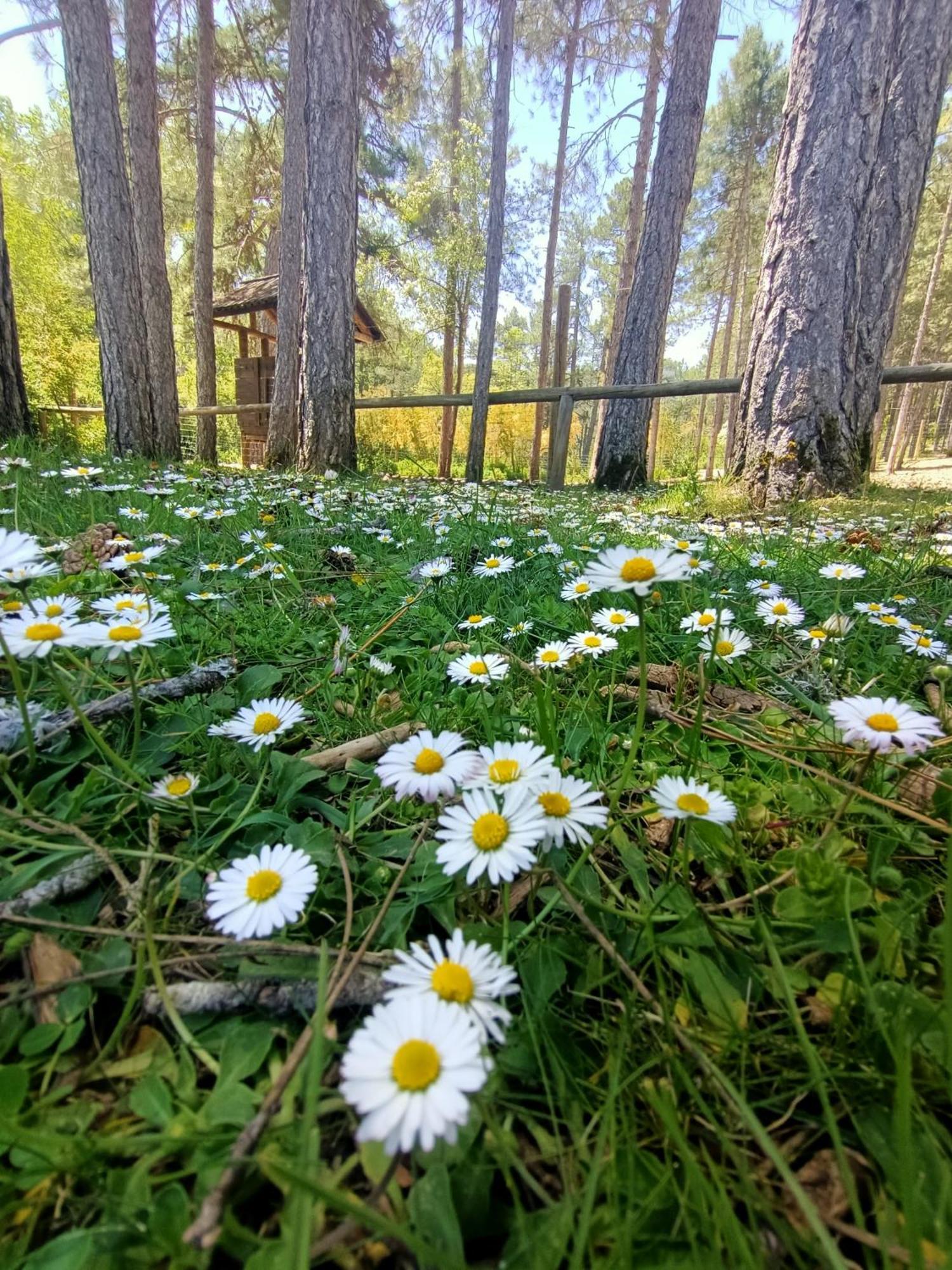 Alojamiento Rural El Cerro Fresneda de la Sierra Bagian luar foto